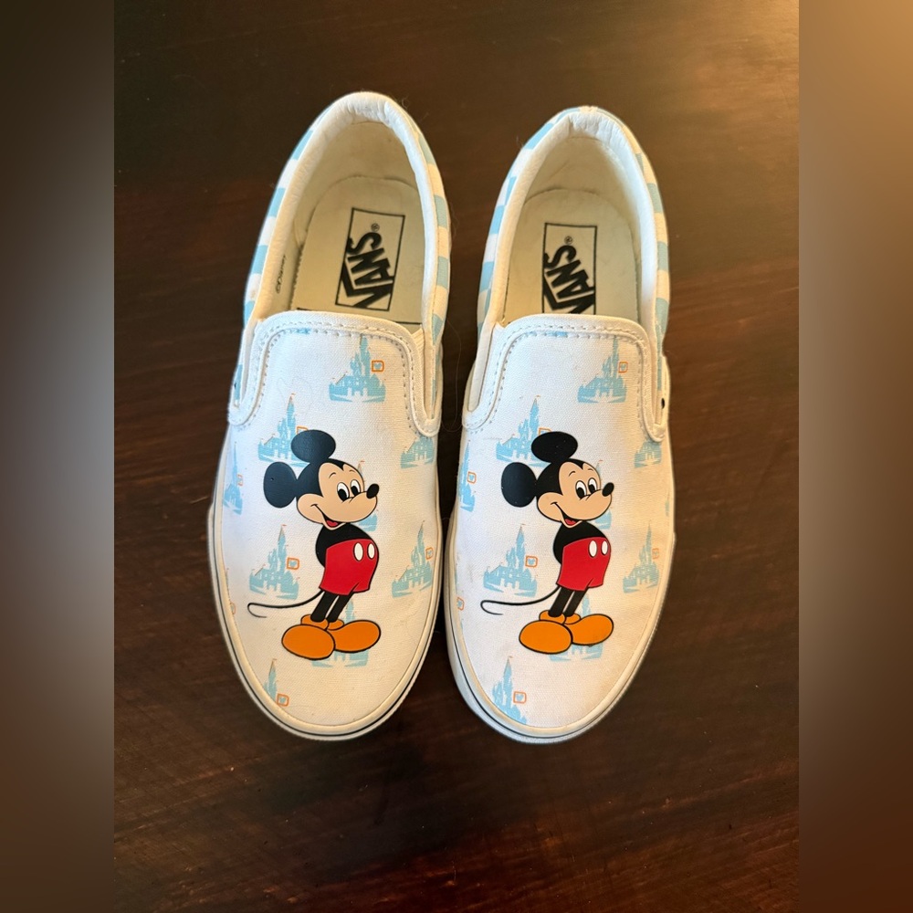 EUC Walt Disney World x Vans Slip On Park Exclusive